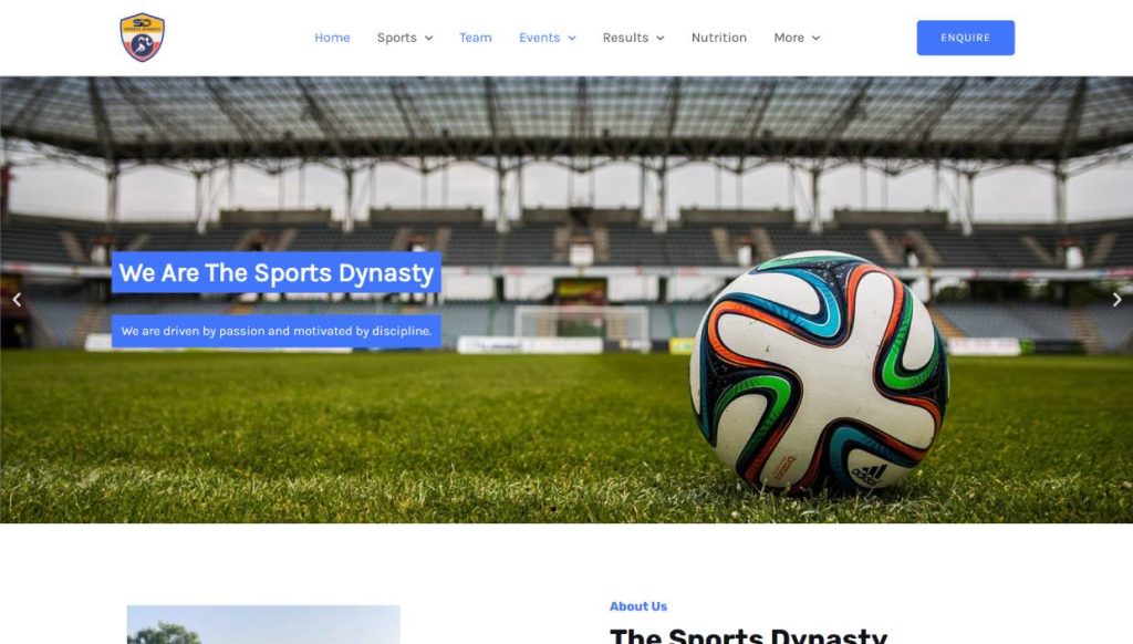 The Sports Dynasty Website Screenshot