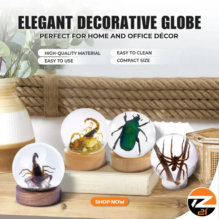 Elegant Decorative Globe Perfect For Home And Office Décor