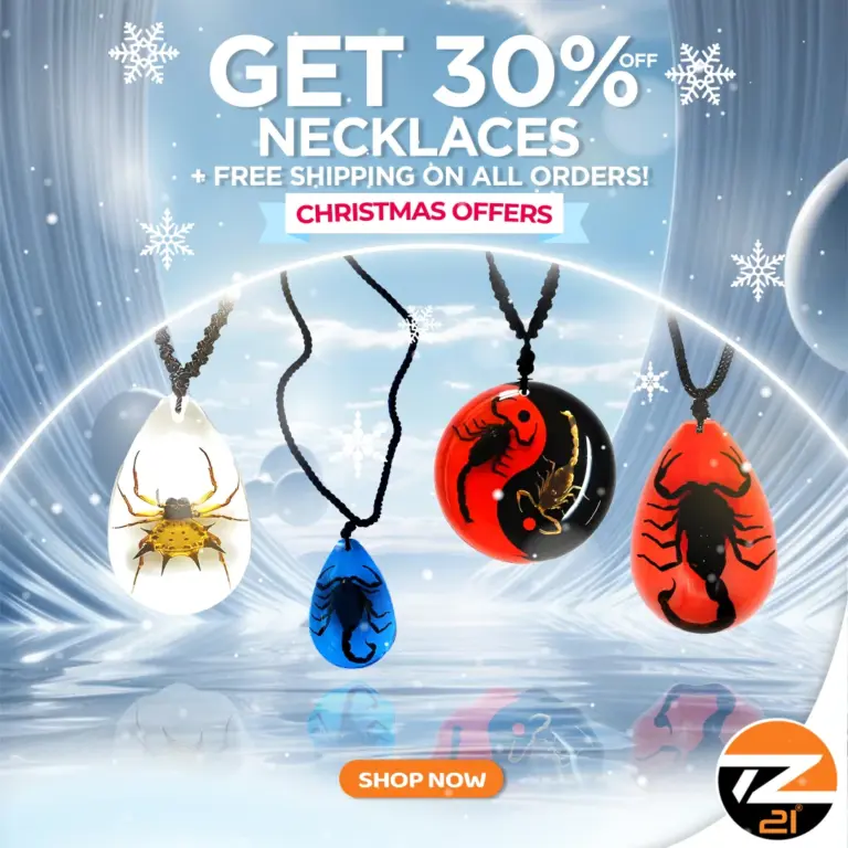 Get 30% Off On Necklaces + Free Shipping On All Orders! Christmas Offer