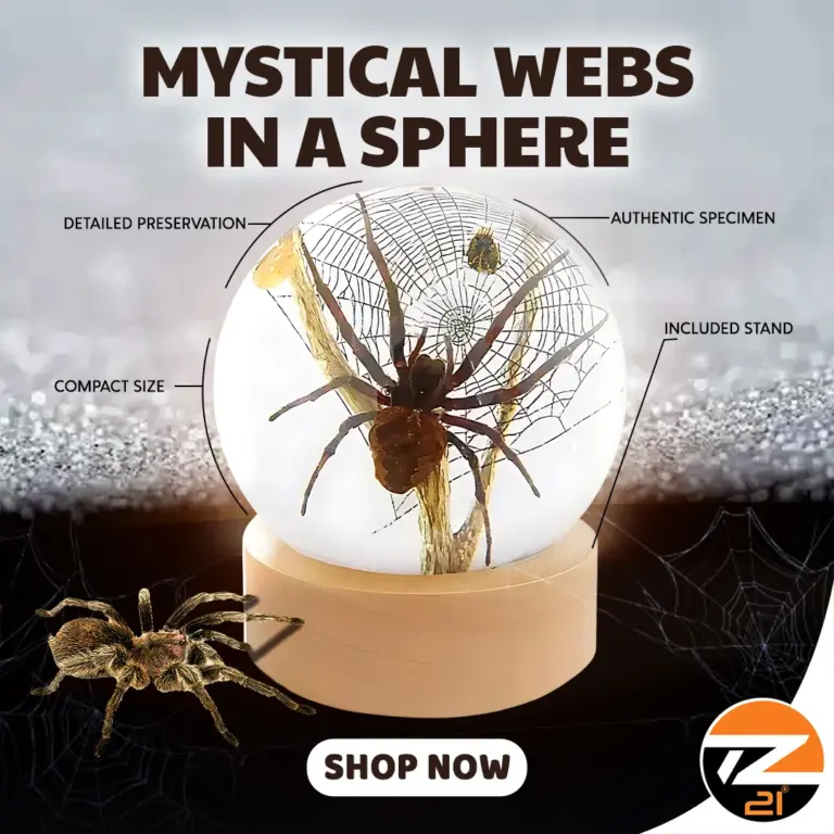 Spider Globe Decoration 2